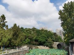 -水绘园