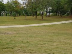 -盘龙城国家考古遗址公园