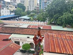 -胡志明市美术馆