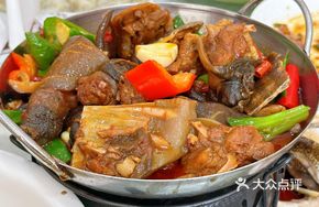 Softshell Turtle Hot Pot