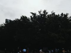 -白沙门生态公园