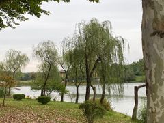 -宜兴龙背山森林公园