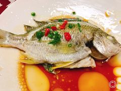 -临家闽南菜(大唐店)
