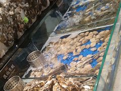 -宴立方海鲜自助(义乌万达广场店)