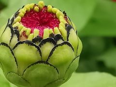 -长春公园(普阳街道)