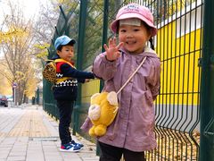 -三里屯东五街银杏大道