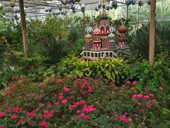 -南宫五洲植物乐园