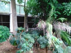 -石家庄市植物园