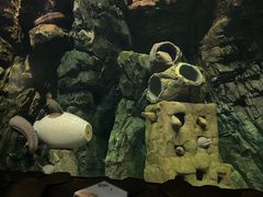 -珠海长隆海洋王国