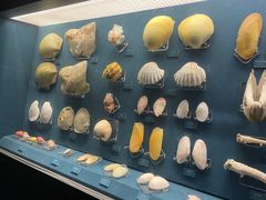 -浙江自然博物院(杭州馆)