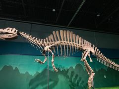 -浙江自然博物院(杭州馆)