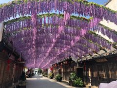 -婺源梦里老家大型山水实景演出