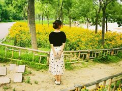 -东郊湿地公园