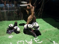 -绮丽珊瑚(台北101旗舰门市店)