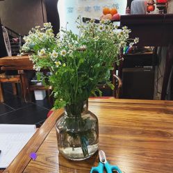 -威思丽高温瑜伽会馆