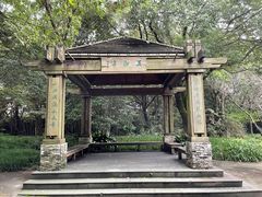 -上海吴淞炮台湾国家湿地公园