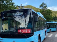 -重庆海昌加勒比海水世界