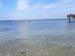 -养马岛旅游度假区