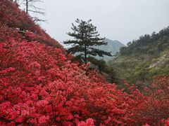 -木兰云雾山
