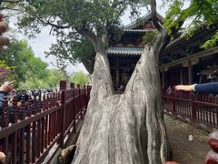 -晋祠博物馆
