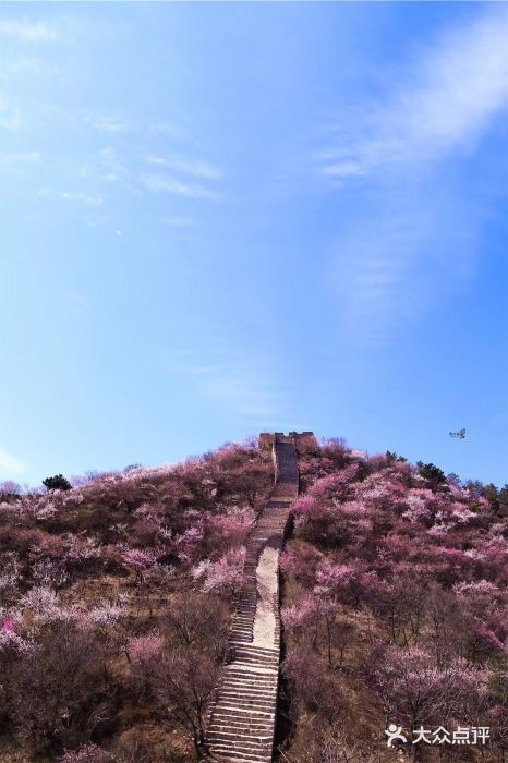八达岭长城景点图片