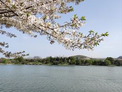 -羊山湖公园