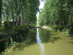 -合肥滨湖国家森林公园