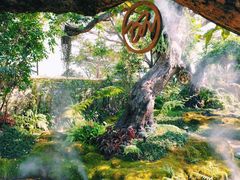 -Chom Cafe and Restaurant