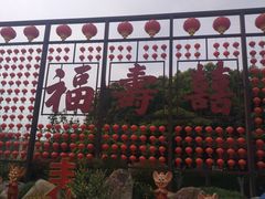 -合肥滨湖国家森林公园