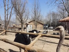 -大连森林动物园