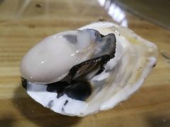 -林记海鲜排档·十年海鲜地标
