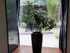 -子福慧(虹桥店)