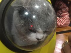 -星巴克(盐城五洲国际店)