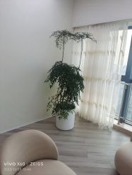-HEYAN荷妍专业脱毛连锁机构