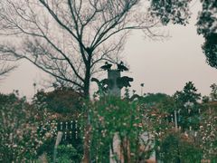 -顾村公园