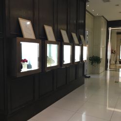 -南京宝娜嫁衣婚纱礼服馆(中央路店)