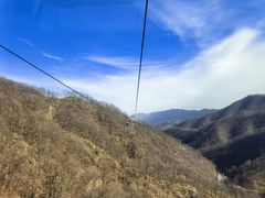 -栾川竹海野生动物园