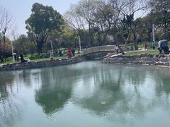 -大宁公园