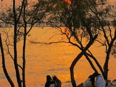 -宝安西湾红树林湿地公园