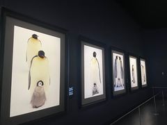 -罗红摄影艺术馆