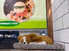 -豆豆冰室·地道招牌椰子冻(大良店)