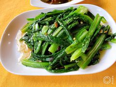 -鲤鱼塘农家山庄