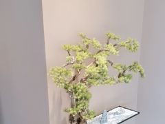 -端艾堂·SPA·艾灸(棕榈泉013店)
