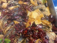 -鱼酷活鱼烤鱼(沈阳大悦城店)