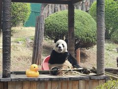 -大连森林动物园