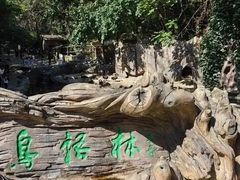 -燕塞湖鸟语林景区
