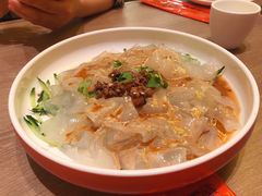东北拉皮-金掌勺锅包肉(太原万达店)