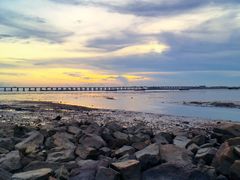 -宝安西湾红树林湿地公园