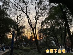 -奉天蚨祥饺子馆
