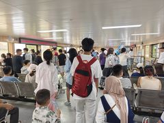 -武汉关码头(轮渡站)